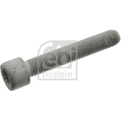 Varžtas, varančiojo veleno jungė
                                FEBI BILSTEIN                                03004, FEBI 
