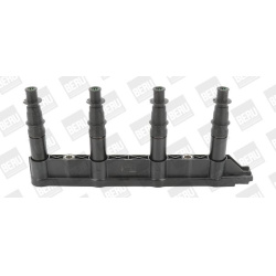 Ritė uždegimo babina
                                BorgWarner (BERU)                                                ZS472