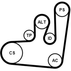 CONTINENTAL CTAM                                                6PK1145K1, CONTINENTAL CTAM, 6PK1145K1, auto detalė