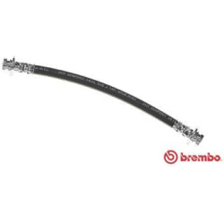 stabdžių žarnelė ESSENTIAL LINE
                                BREMBO                                T 54 010, BREMBO, T