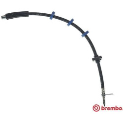 stabdžių žarnelė ESSENTIAL LINE
                                BREMBO                                T 61 034, BREMBO, T