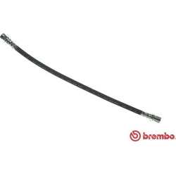 stabdžių žarnelė ESSENTIAL LINE
                                BREMBO                                T 59 012, BREMBO, T