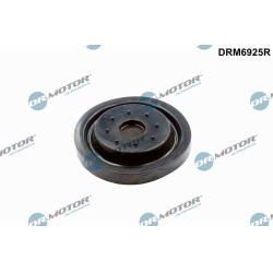 remonto komplektas, variklio karterio alsuoklis
                                Dr.Motor Automotive                          