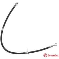 stabdžių žarnelė ESSENTIAL LINE
                                BREMBO                                                T 2