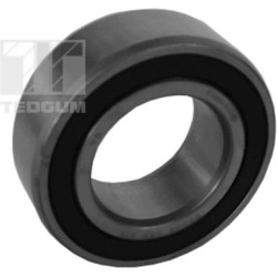 guolis, kardaninio veleno centrinis guolis
TEDGUM