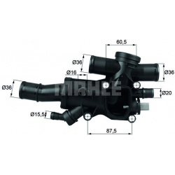 Termostatas
                                MAHLE                                TH4483, MAHLE, TH4483, auto detalė