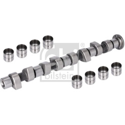 skirstomojo veleno komplektas
                                FEBI BILSTEIN                                03131, FEBI BILSTE