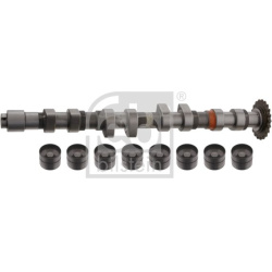 skirstomojo veleno komplektas
                                FEBI BILSTEIN                                                33