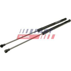 dujinė spyruoklė, bagažinė
                                FAST                                                FT00181K, 