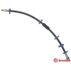 stabdžių žarnelė ESSENTIAL LINE
                                BREMBO                                                T 2