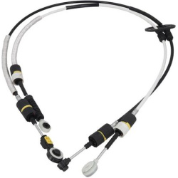 trosas, neautomatinė transmisija
                                KAMOKA                                                CP008