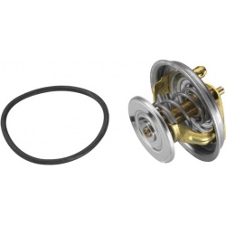 termostatas, aušinimo skystis
                                BorgWarner (Wahler)                                4064.75D, B