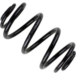 spyruoklė BILSTEIN - B3 OE Replacement
                                                38-316159, BILSTEIN, 38-316159, auto 
