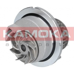 Vandens siurblys, variklio aušinimas
                                KAMOKA                                                T