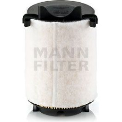 oro filtras
                                MANN-FILTER                                C14130/1, MANN-FILTER, C141301, auto d