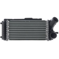 tarpinis suslėgto oro aušintuvas, kompresorius BEHR
                                MAHLE                                  