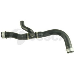 radiatoriaus žarna
OSSCA 43870, Nenurodytas g