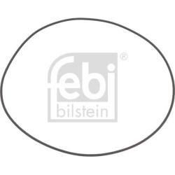 O žiedas, cilindro sraigtinė įvorė
                                FEBI BILSTEIN                                         