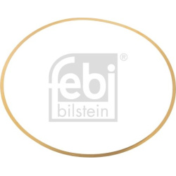 O žiedas, cilindro sraigtinė įvorė
                                FEBI BILSTEIN                                         