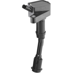 ritė, uždegimas
                                BorgWarner (BERU)                                                ZS620, Bor