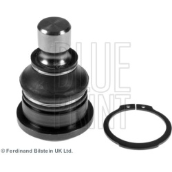 Šarnyras
                                BLUE PRINT                                                ADN186115, BLUE PRINT, AD