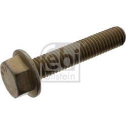 alyvos karterio varžtas
                                FEBI BILSTEIN                                                48423, 