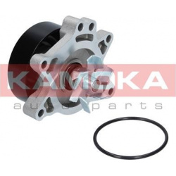 KAMOKA                                T0263, KAMOKA, T0263, auto detalė