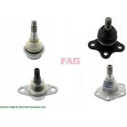 Šarnyras
                                FAG                                825 0485 10, FAG, 825048510, auto detalė