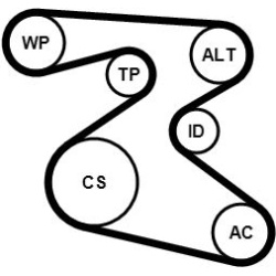 vandens siurblys + V formos rumbuotas diržas, komplektas
                                CONTINENTAL CTAM                   