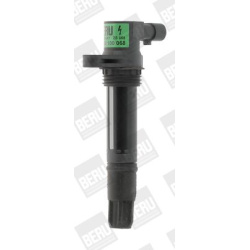 Ritė uždegimo babina
                                BorgWarner (BERU)                                                ZS068