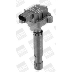 Ritė uždegimo babina
                                BorgWarner (BERU)                                ZS077, BorgWarner (BE