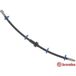 stabdžių žarnelė ESSENTIAL LINE
                                BREMBO                                T 23 005, BREMBO, T