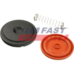 membrana, karterio alsuoklis
                                FAST                                FT60105, FAST, FT60105, auto