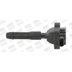 Ritė uždegimo babina
BorgWarner (BERU) ZS041