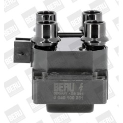 Ritė uždegimo babina
                                BorgWarner (BERU)                                                ZS281