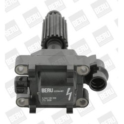 Ritė uždegimo babina
BorgWarner (BERU) ZS308