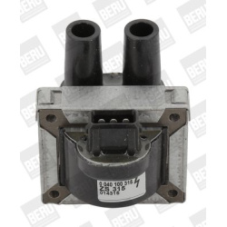 Ritė uždegimo babina
                                BorgWarner (BERU)                                                ZS315
