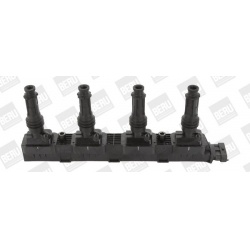 Ritė uždegimo babina
                                BorgWarner (BERU)                                                ZS338