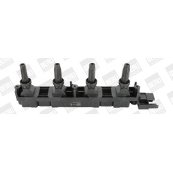 Ritė uždegimo babina
                                BorgWarner (BERU)                                                ZS351