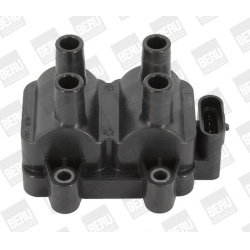 Ritė uždegimo babina
                                BorgWarner (BERU)                                                ZS354