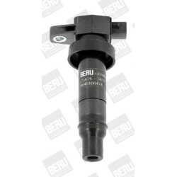 Ritė uždegimo babina
                                BorgWarner (BERU)                                                ZS474