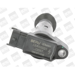Ritė uždegimo babina
                                BorgWarner (BERU)                                                ZS557