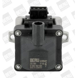 Ritė uždegimo babina
                                BorgWarner (BERU)                                                ZSE00