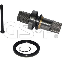 Įstatomas velenas, diferencialas
                                GSP                                                261191, 