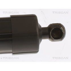dujinė spyruoklė, bagažinė
                                TRISCAN                                8710 29303, Nenurodytas