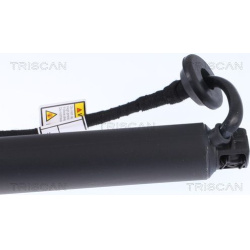 dujinė spyruoklė, bagažinė
                                TRISCAN                                8710 27302, Nenurodytas