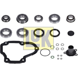 Remonto komplektas, mechaninė pavarų dėžė LuK GearBOX
                                                462032010, LuK, 46