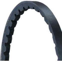 V formos diržas
                                CONTINENTAL CTAM                                                AVX10X1575, 