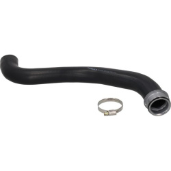 radiatoriaus žarna
                                KAMOKA                                                7910168, KAMOKA, 79