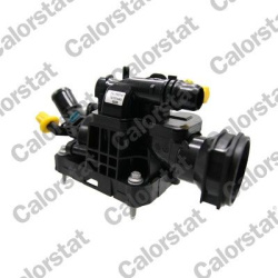 termostatas, aušinimo skystis
                                CALORSTAT by Vernet                                           